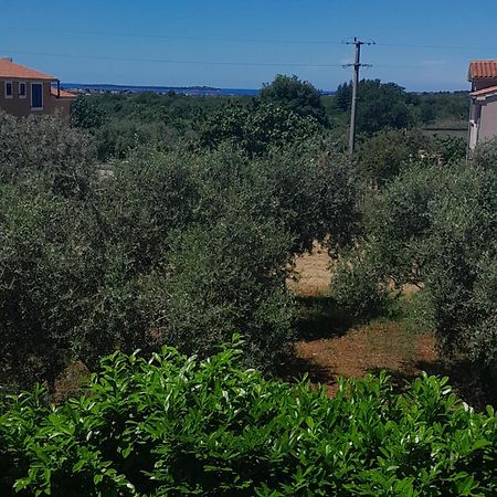 וודניאן Apartment Mihael - 4 Persons מראה חיצוני תמונה