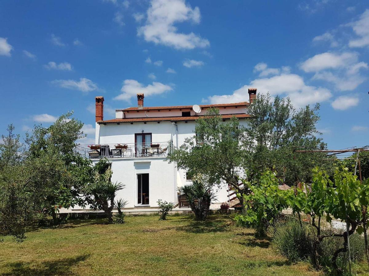 וודניאן Apartment Mihael - 4 Persons מראה חיצוני תמונה