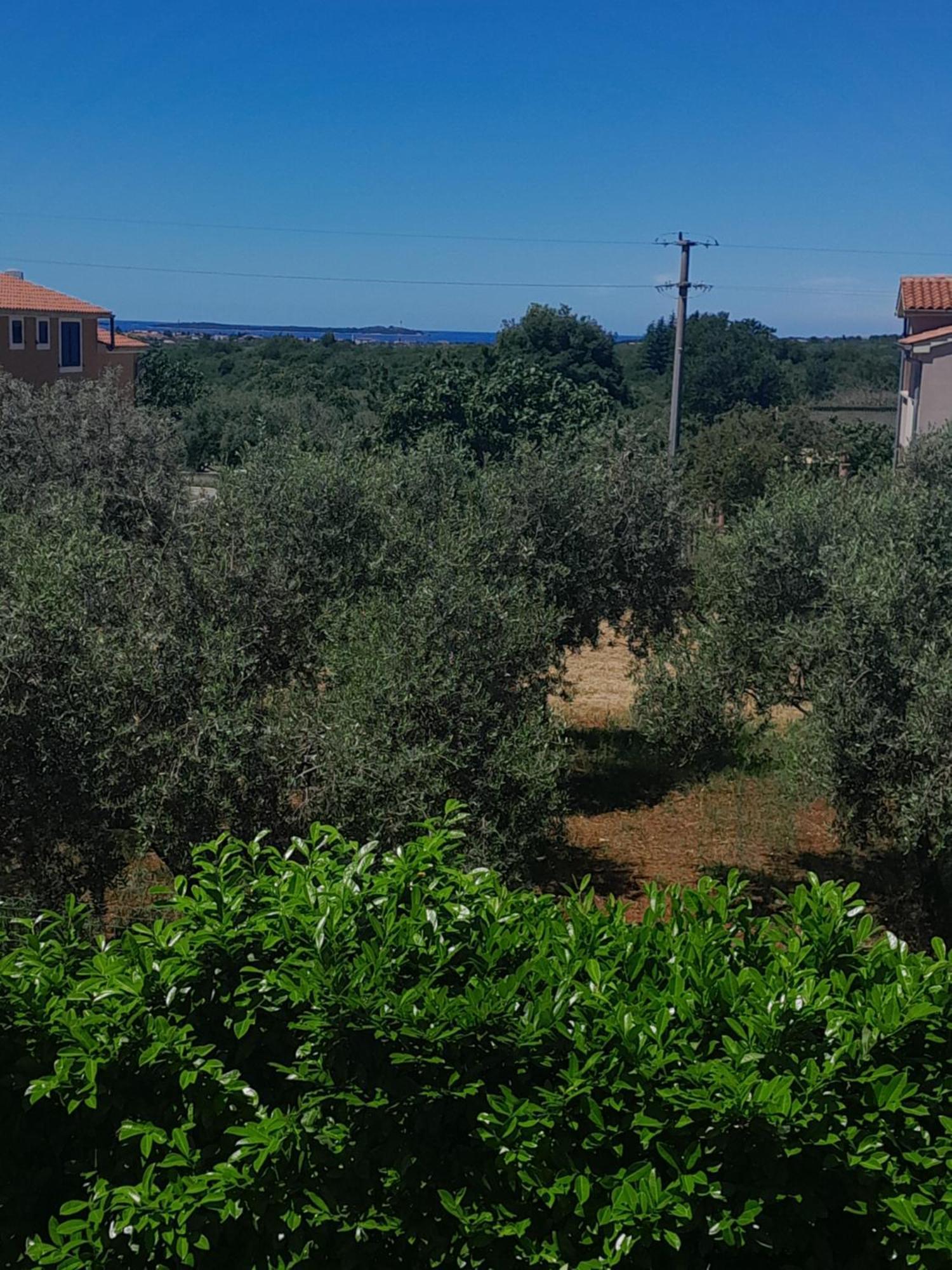 וודניאן Apartment Mihael - 4 Persons מראה חיצוני תמונה